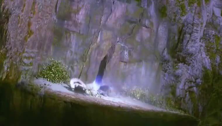优雅的精灵