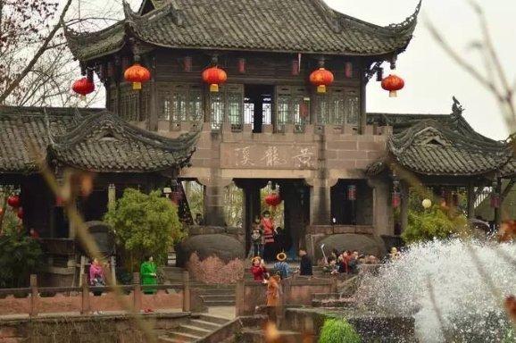 重生之玫瑰豪门