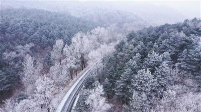 为什么刘邦在后期想要冒风险换掉太子呢？游戏画面